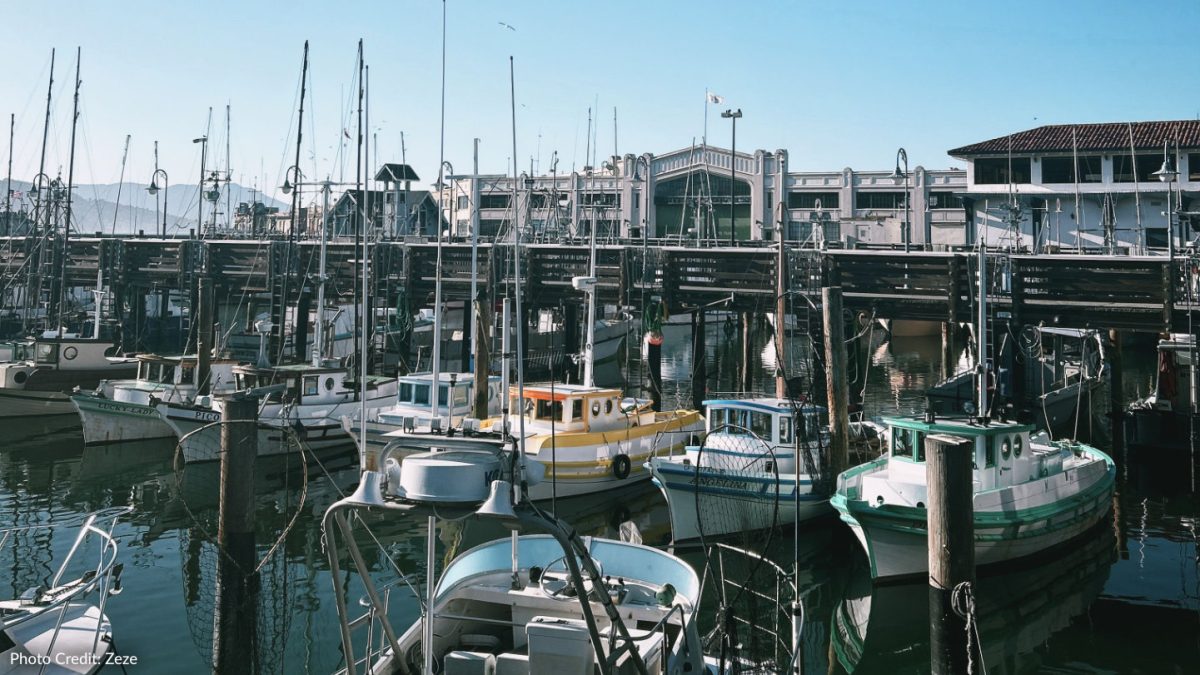 A vibrant marina filled with sailboats under a clear blue sky, capturing a peaceful waterfront scene.